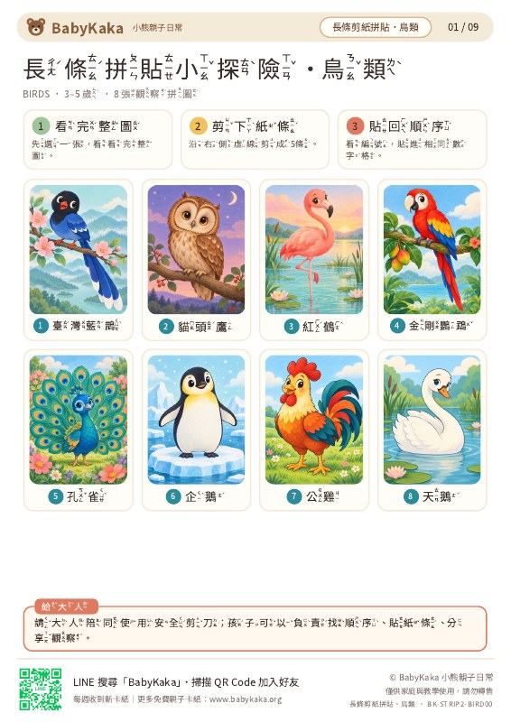 鳥類・小探險實際圖卡預覽